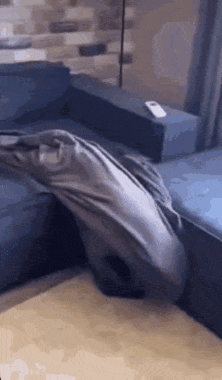 Acid GIFs, September 14 (25 gifs)