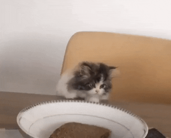 Acid GIFs, September 14 (25 gifs)