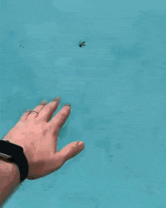 Acid GIFs, September 14 (25 gifs)