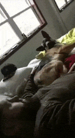 Acid GIFs, September 14 (25 gifs)
