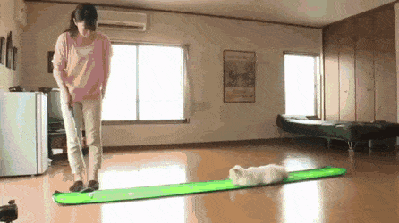 Acid GIFs, September 14 (25 gifs)