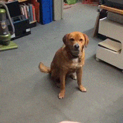 Acid GIFs, September 14 (25 gifs)