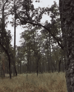 Acid GIFs, September 14 (25 gifs)