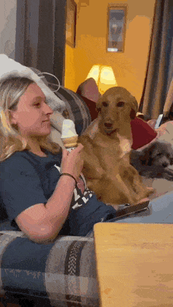 Acid GIFs, September 14 (25 gifs)