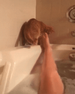 Acid GIFs, September 15 (25 gifs)