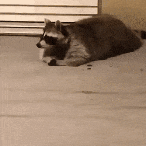 Acid GIFs, September 15 (25 gifs)