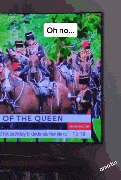 Acid GIFs, September 15 (25 gifs)