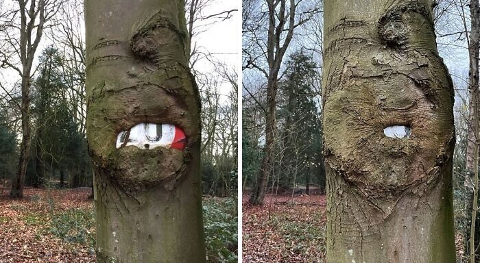 Power Of Nature (23 pics)