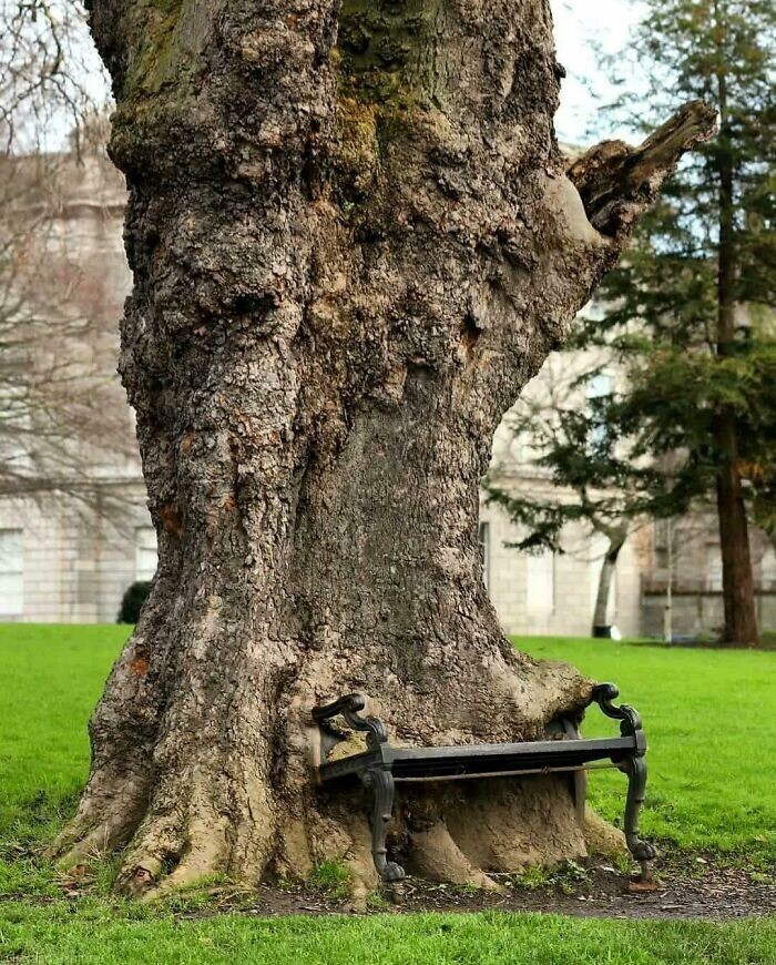 Power Of Nature (23 pics)