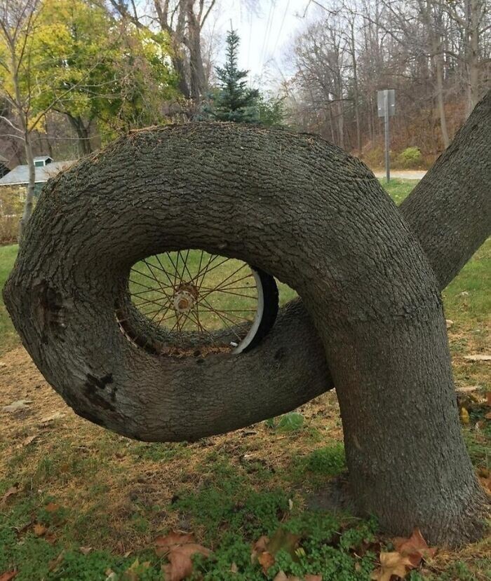 Power Of Nature (23 pics)