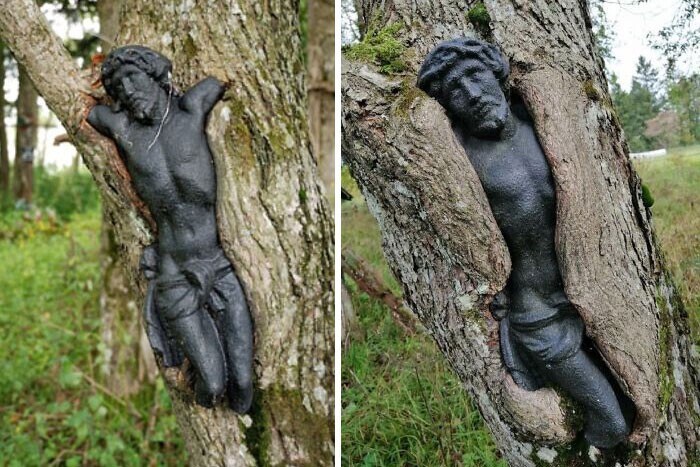 Power Of Nature (23 pics)