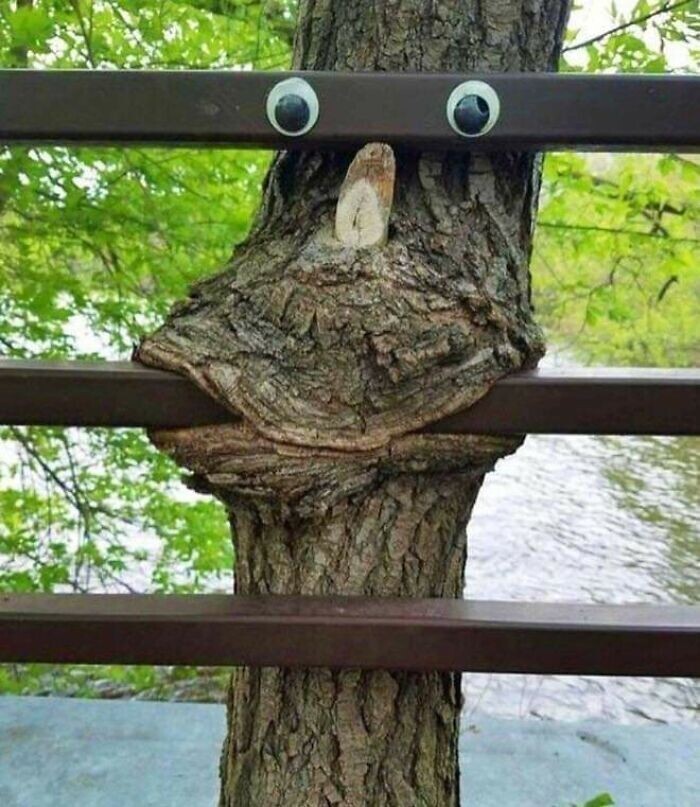 Power Of Nature (23 pics)