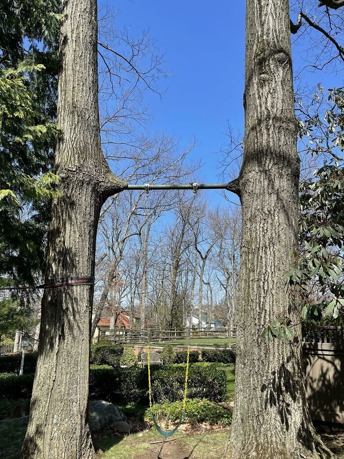 Power Of Nature (23 pics)