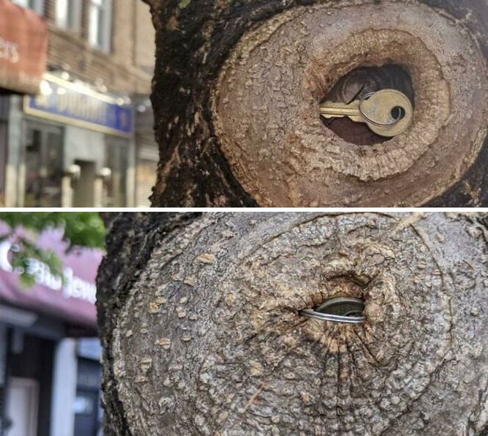 Power Of Nature (23 pics)
