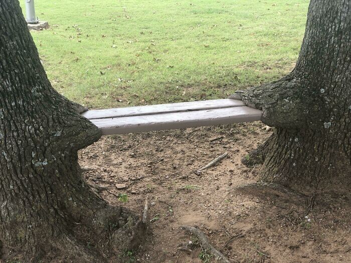 Power Of Nature (23 pics)