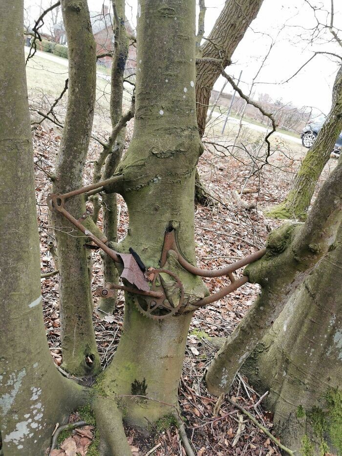 Power Of Nature (23 pics)