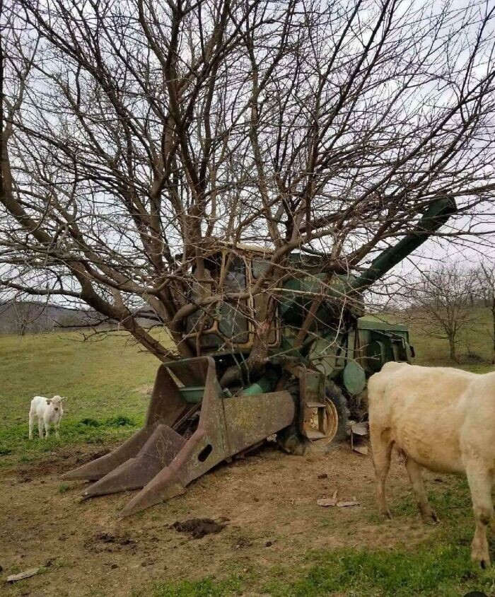 Power Of Nature (23 pics)