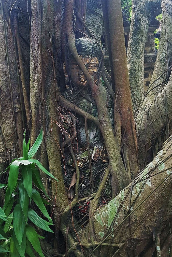 Power Of Nature (23 pics)