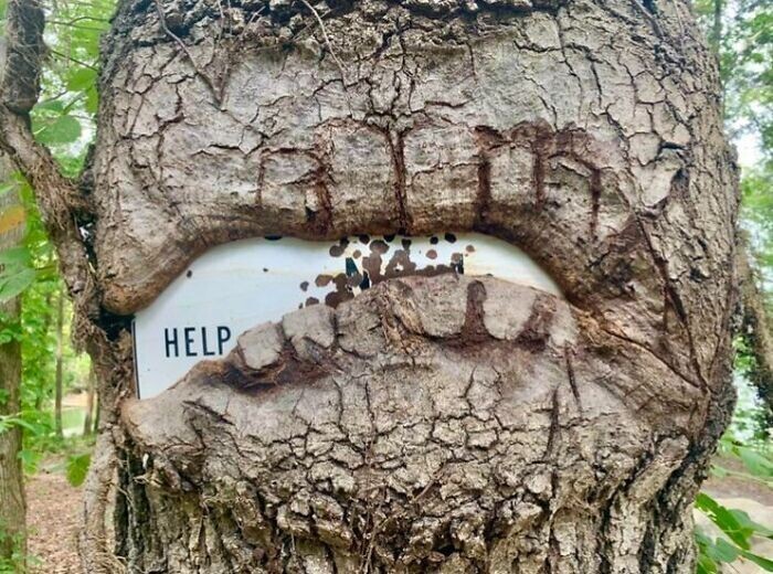 Power Of Nature (23 pics)