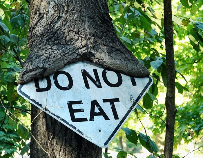 Power Of Nature (23 pics)