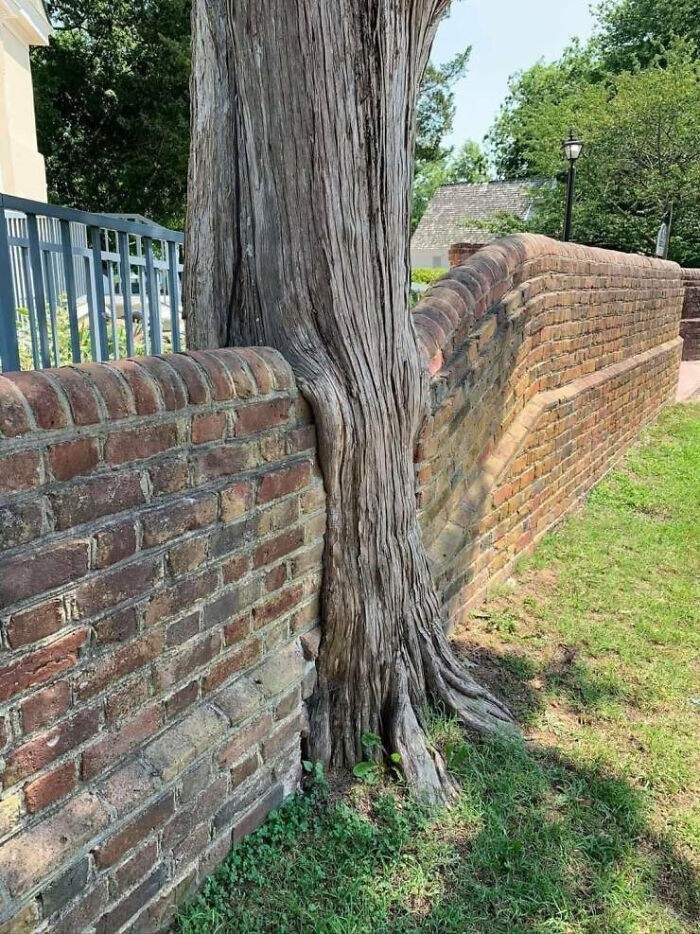 Power Of Nature (23 pics)