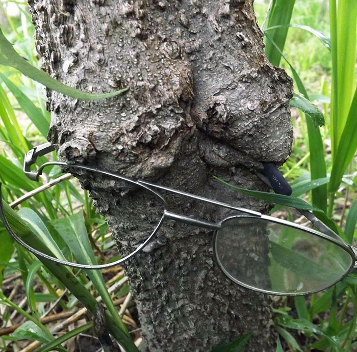 Power Of Nature (23 pics)
