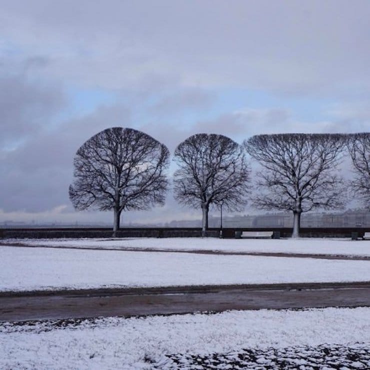 Hell For Perfectionists (19 pics)