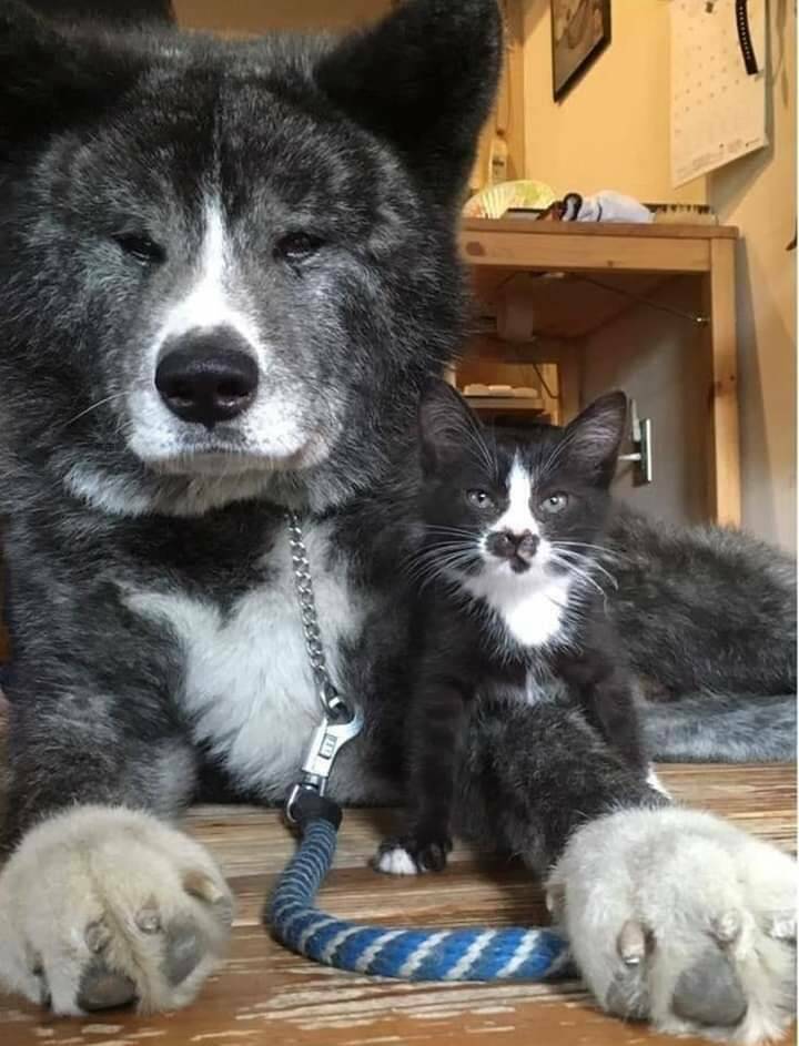 Daily Pictures. Part 2 (59 pics)
