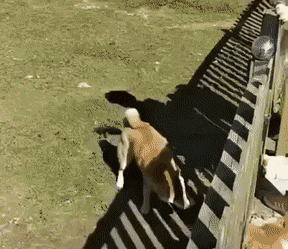 Acid GIFs, September 16 (25 gifs)