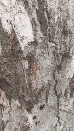 Acid GIFs, September 16 (25 gifs)