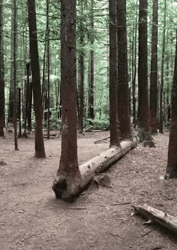 Acid GIFs, September 16 (25 gifs)