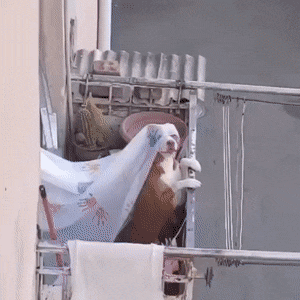 Acid GIFs, September 16 (25 gifs)