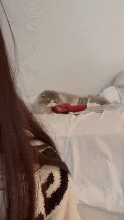 Acid GIFs, September 16 (25 gifs)