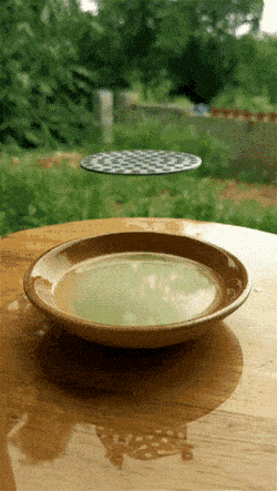 Acid GIFs, September 16 (25 gifs)