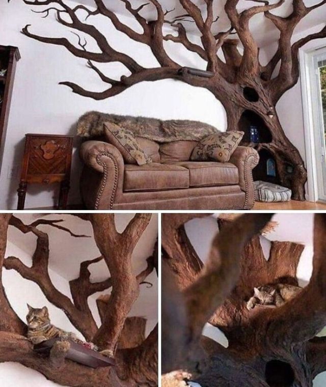 Unusual Designs (21 pics)