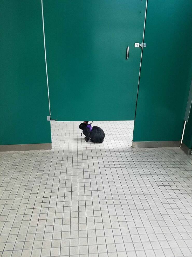 Daily Pictures. Part 1 (57 pics)