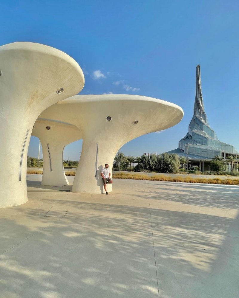Interesting Photos From Dubai (17 pics)