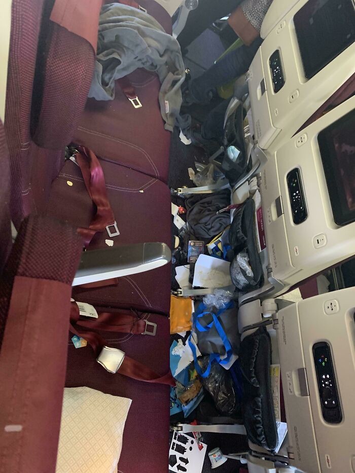 Awful Passengers (17 pics)