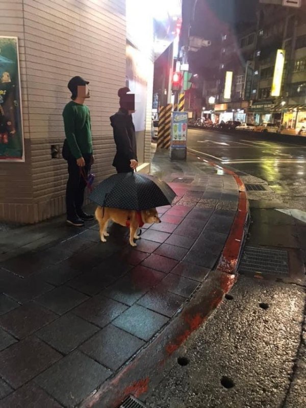 What Is Going On Here? (21 pics)