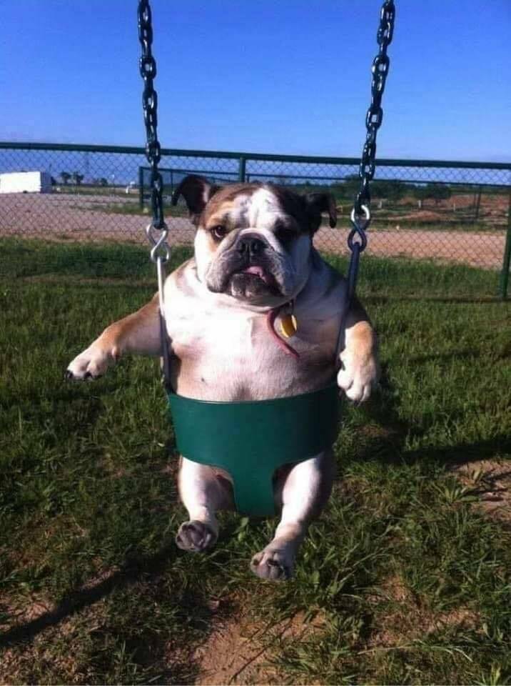 Daily Pictures. Part 1 (60 pics)