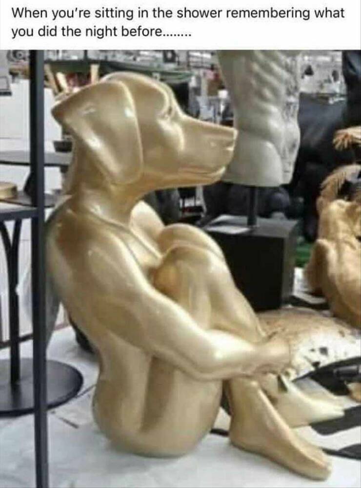 Daily Pictures. Part 2 (59 pics)