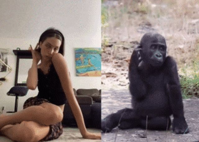 Acid GIFs, September 20 (25 gifs)