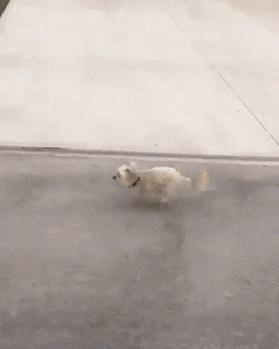 Acid GIFs, September 20 (25 gifs)