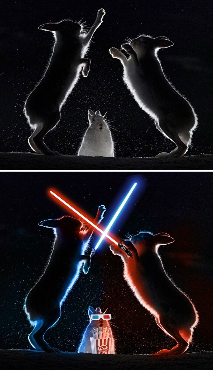 Funny Photoshop (20 pics)
