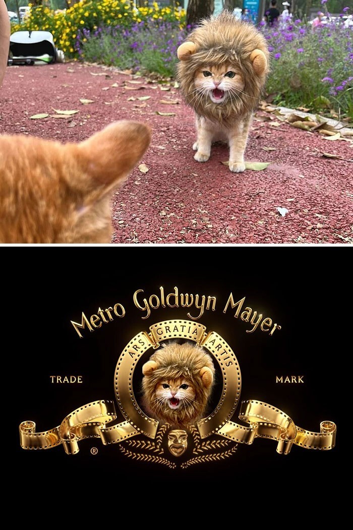 Funny Photoshop (20 pics)
