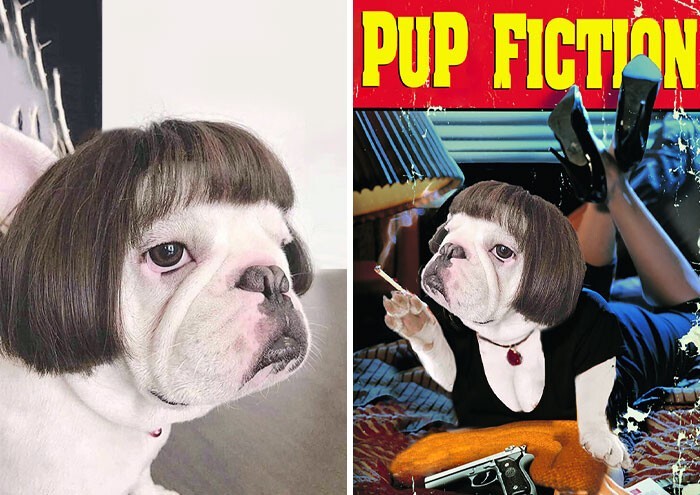 Funny Photoshop (20 pics)