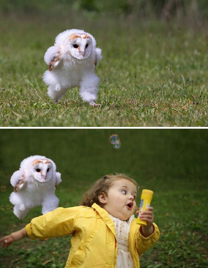 Funny Photoshop (20 pics)