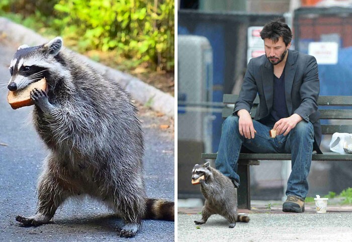 Funny Photoshop (20 pics)