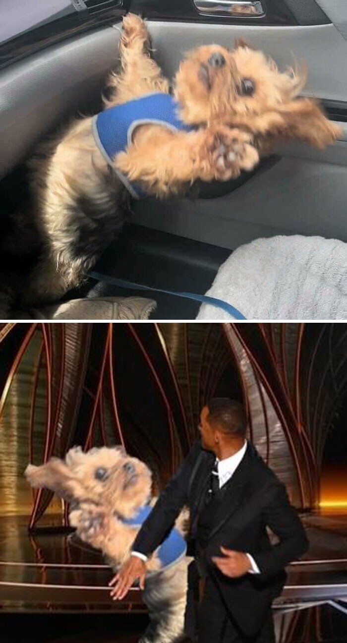 Funny Photoshop (20 pics)