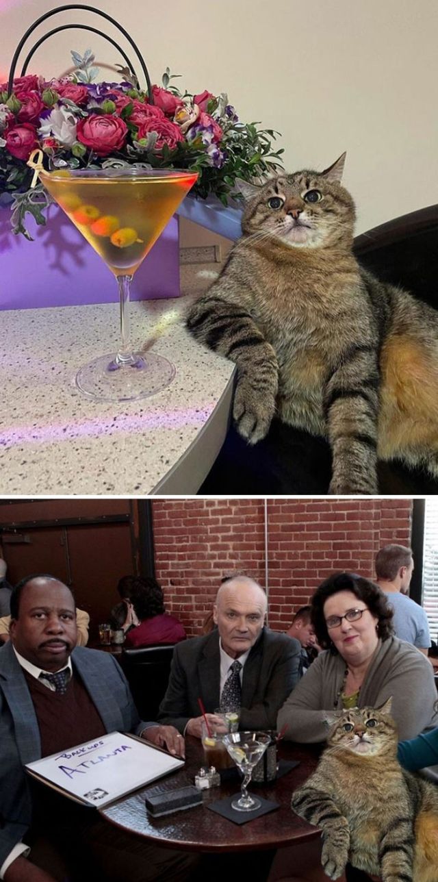 Funny Photoshop (20 pics)